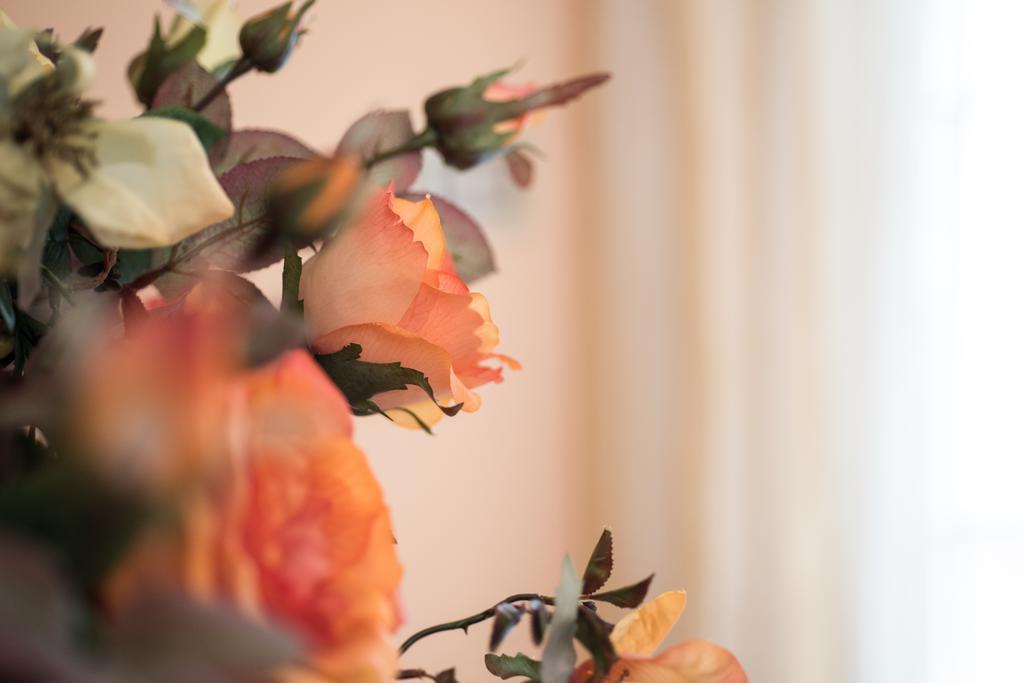 B&B La Petite Maison プエニャーゴ 部屋 写真
